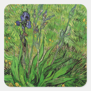 Iris von Vincent van Gogh, Vintage Gartenblumen Quadratischer Aufkleber