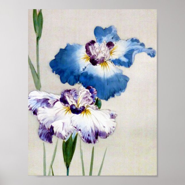 Iris, Watanabe Seitei Poster (Vorne)