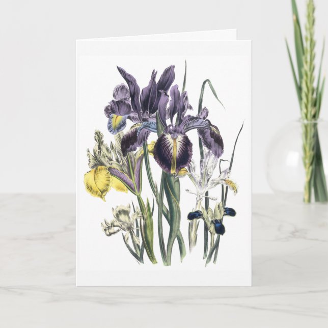 Iris Watercolor Sympathy Card Updated Karte (Vorderseite)