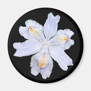 Iris White Magnet