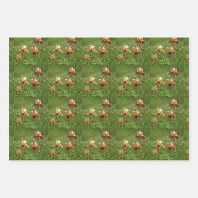Iris Wrapping Paper Geschenkpapier Set (Vorderseite)