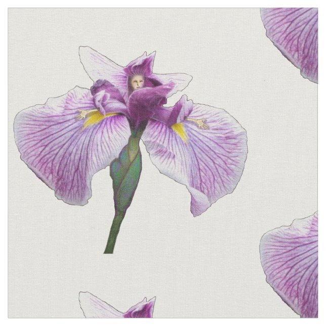 Iris-Zahl Stoff (Nahaufnahme)