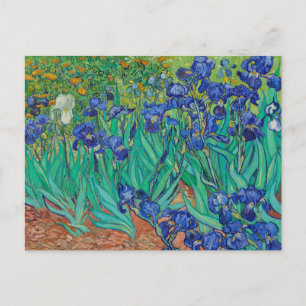 Irisch 1889 von Vincent Van Gogh Fine Art Blume Postkarte
