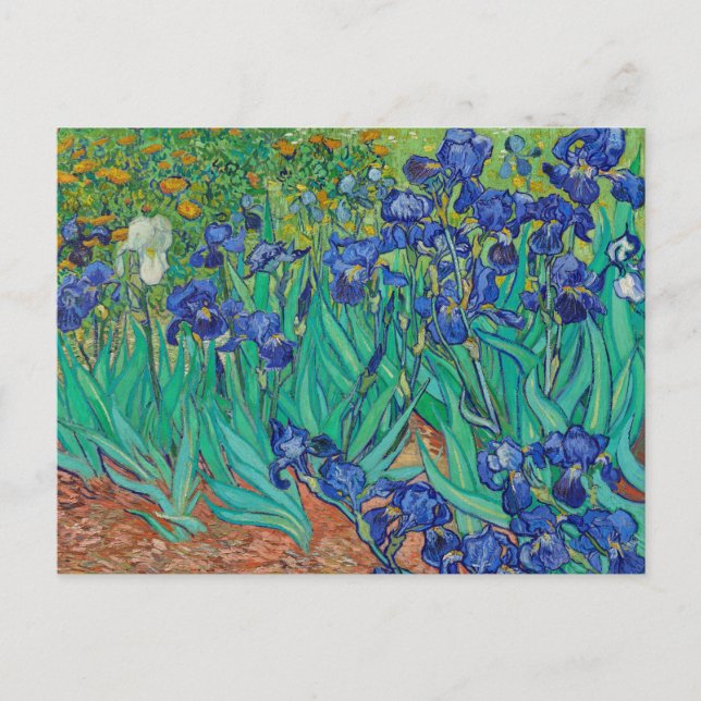 Irisch 1889 von Vincent Van Gogh Fine Art Blume Postkarte (Vorderseite)