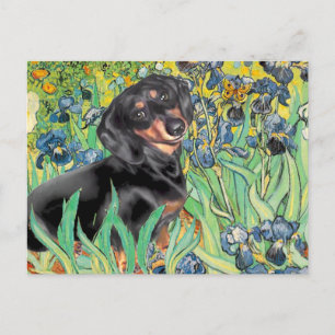 Irisch - Dachsund (BT4) Postkarte