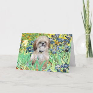Irisch - Shih Tzu (P) Karte