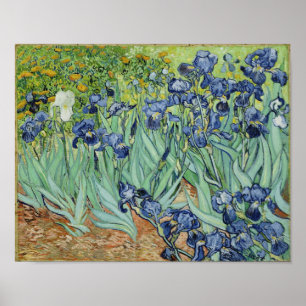 Irisch - Van Gogh Print Poster