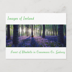 Irische Bilder für Postkarten