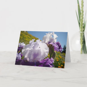 Irische Blume begrüßen Lila Iris-Blume Karte