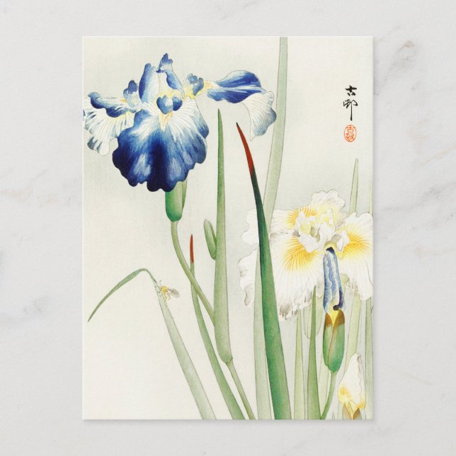 Irische Blume von Blumen von Ohara Koson Postkarte (Vorderseite)
