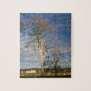 Irische Buchen Puzzle