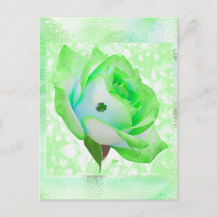 Irische Rose und Jahrestag! Karte