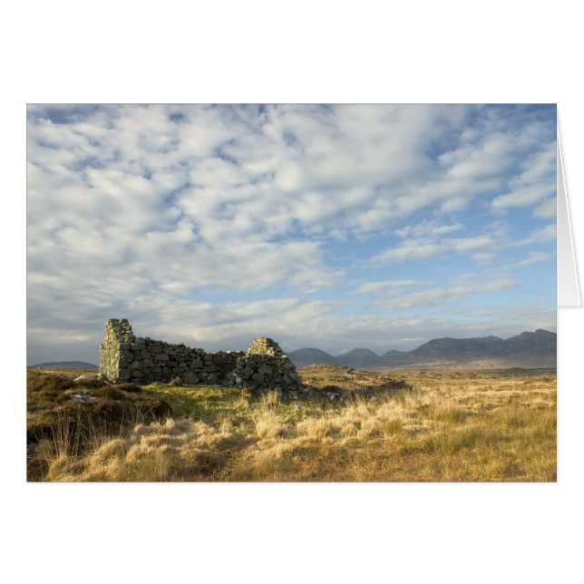 Irische Ruine (Vorderseite (Horizontal))