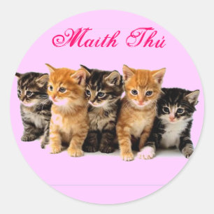 Irische Sprachbelohnungsaufkleber Runder Aufkleber