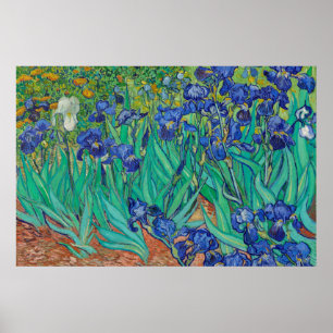 Irische von Van Gogh Art Painting Poster