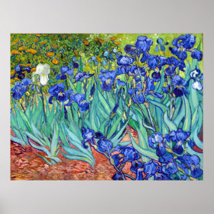 Irische von Vincent Van Gogh Blume Poster