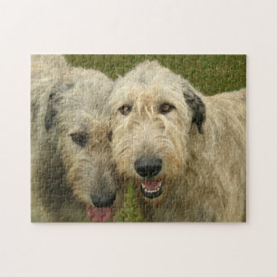 Irische Wolfhounds-Foto Puzzle