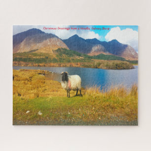 Irische Wollschafe Galway Irland. Puzzle