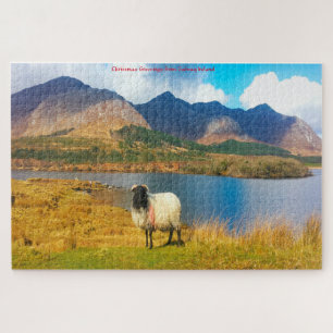 Irische Wollschafe Galway Irland. Puzzle