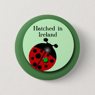 Irischer Marienkäfer Button