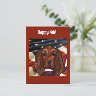 Irischer Roter Setter    Postkarte