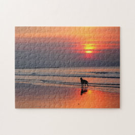Irischer Setter am Sonnenuntergang durch das Puzzle