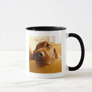 Irischer Setter auf Sofa Tasse
