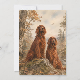 Irischer Setter Einladung