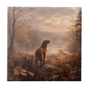 Irischer Setter Fliese