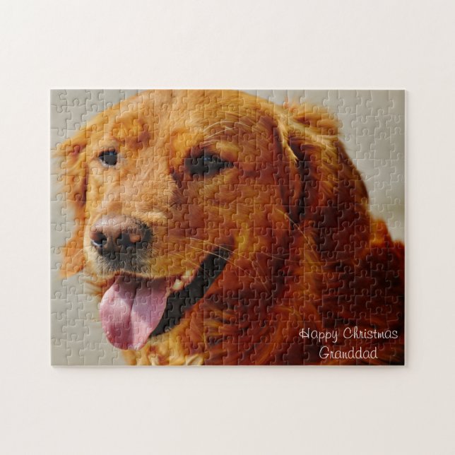 Irischer Setter Hund. Puzzle (Horizontal)