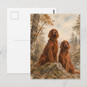  Irischer Setter  Postkarte