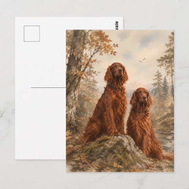  Irischer Setter  Postkarte (Vorne/Hinten)