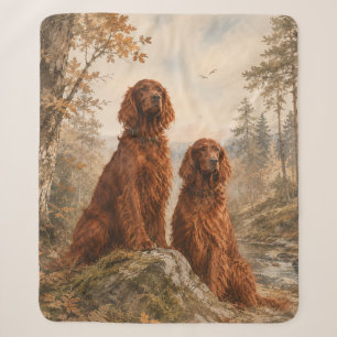 Irischer Setter Sherpadecke