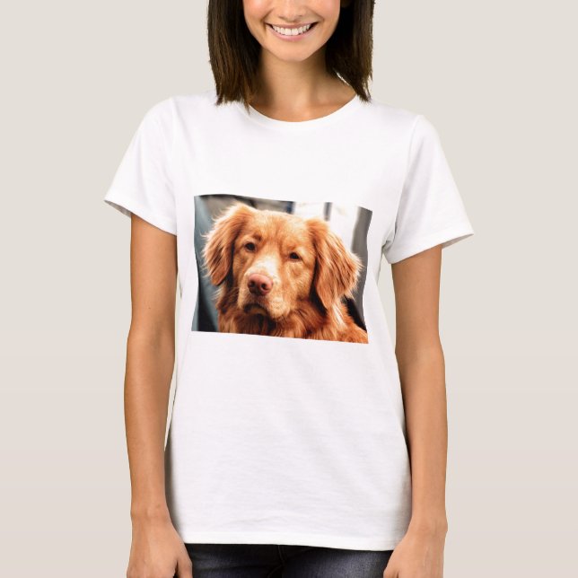 Irischer Setter T-Shirt (Vorderseite)