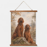 Irischer Setter