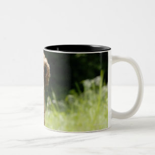 Irischer Setter Zweifarbige Tasse