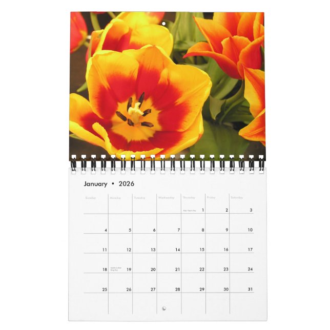 Irischer Tulpe-Festival-Kalender Kalender