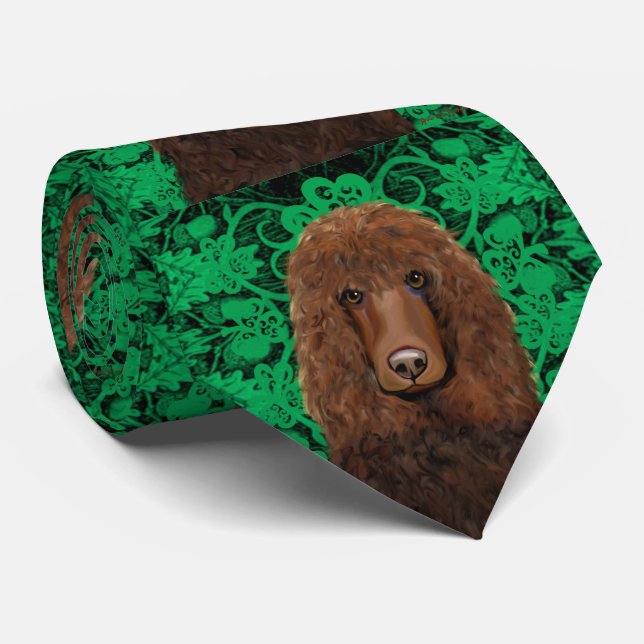 Irischer Wasserspaniel Krawatte (Gerollt)