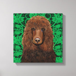 Irischer Wasserspaniel Leinwanddruck