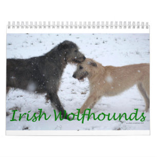 Irischer Wolfhound 2012 Kalender