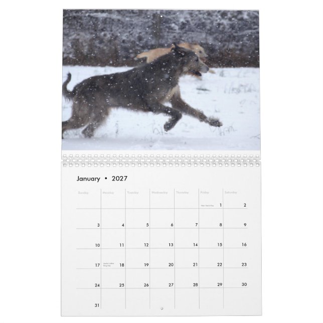 Irischer Wolfhound 2012 Kalender (Jan 2027)