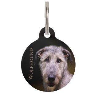 Irischer Wolfhound Haustiermarke