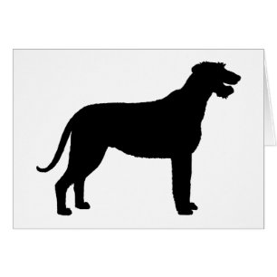 Irischer Wolfhound (im Schwarzen)