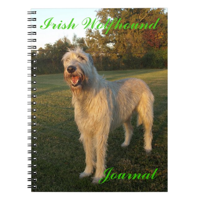 Irischer Wolfhound-Zeitschrift Notizblock (Vorderseite)