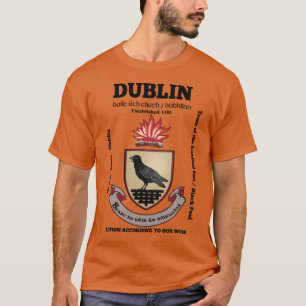 Irisches County Dublin Irland Wappen retro T-Shirt