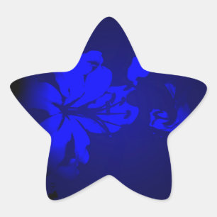 Irisches Design-Die Blumenkollektion Stern-Aufkleber
