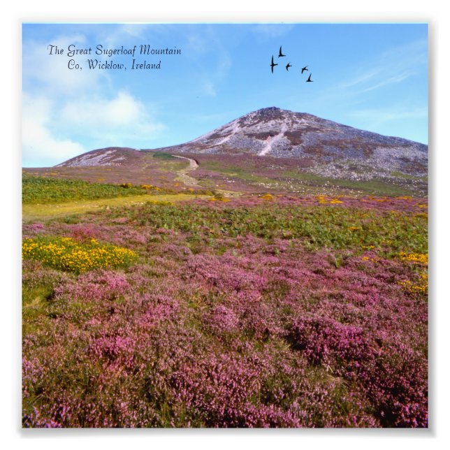 Irisches Image für NullValue-Foto-Erweiterung Fotodruck (Vorne)