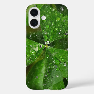 irisches Kleeblatt mit Wassertropfen iPhone 16 Hülle