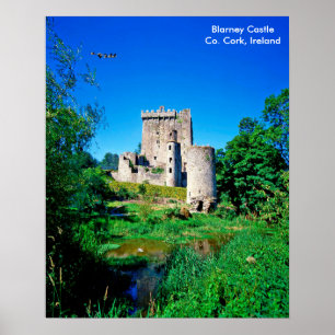 irisches Plakatbild Poster