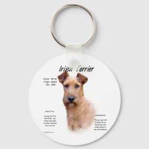 Irisches Terrier-Geschichtsentwurf Schlüsselanhänger